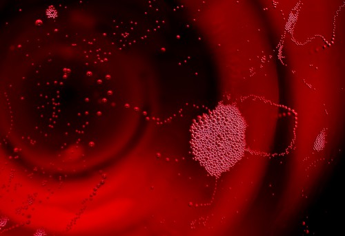 Marcocarboni_lambrusco